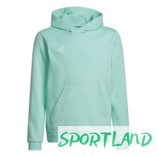 Bluza adidas Entrada 22 Hoody JR HC5066 164 cm