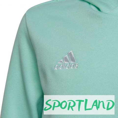 Bluza adidas Entrada 22 Hoody JR HC5066 164 cm Bluza adidas Entrada 22 Hoody JR HC5066 164 cm