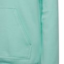 Bluza adidas Entrada 22 Hoody JR HC5066 164 cm