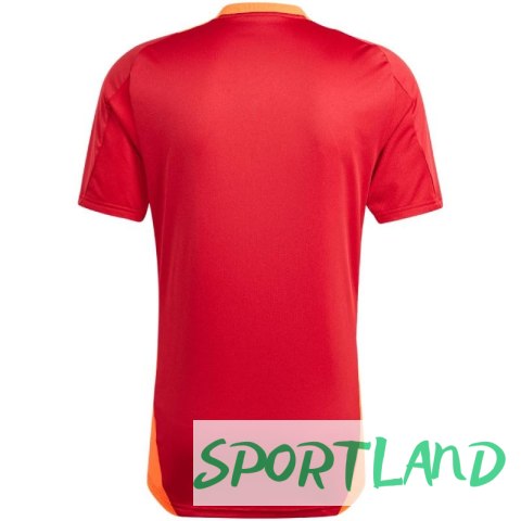 Koszulka adidas Tiro 24 Competition Training M IS1658 M Koszulka adidas Tiro 24 Competition Training M IS1658 M