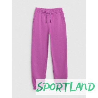 Spodnie 4F F1187 Jr 4FJWSS25TTROF1187-50S 164