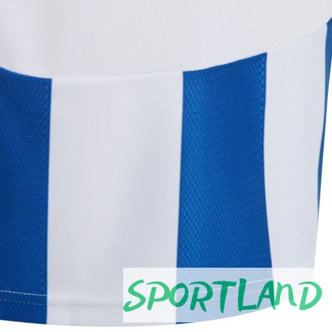 Koszulka adidas Striped 24 Jr IW2134 152cm Koszulka adidas Striped 24 Jr IW2134 152cm