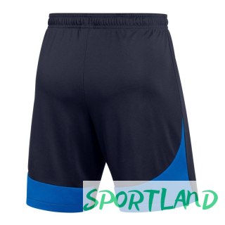 Spodenki Nike Dri-FIT Academy Pro M DH9236-451 XL (188cm)