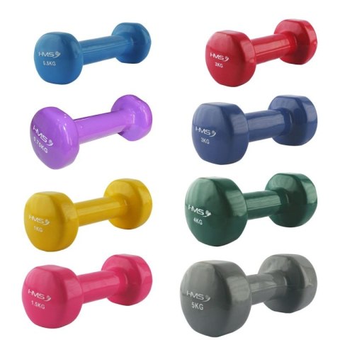 Ciężarek żeliwny pokryty winylem 0,5kg 17023 17-47-000 N/A Ciężarek żeliwny pokryty winylem 0,5kg 17023 17-47-000 N/A