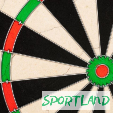 Tarcza Dart sizalowa 45cm Harrows Official Competition 15873 N/A Tarcza Dart sizalowa 45cm Harrows Official Competition 15873 N/A