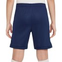 Spodenki Nike Dri Fit Academy 25 Jr FZ9784 410 M