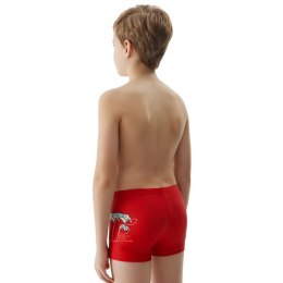 Bokserki kąpielowe 4F M036 Jr 4FJWSS25USWTM036 62S 146-152cm