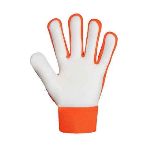 Rękawice bramkarskie Reusch Attrakt Starter Solid Finger Support Jr 5472511 2290 5 Rękawice bramkarskie Reusch Attrakt Starter Solid Finger Support Jr 5472511 2290 5