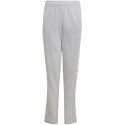 Spodnie adidas Squadra 25 Sweat Jr JD4823 116 cm