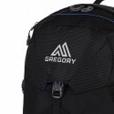 Plecak trekkingowy Gregory Citro 24 141308-7416 N/A