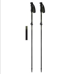 Kije trekkingowe Spokey Terra SPK-944825 Czarny