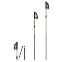 Kije trekkingowe Spokey Terra SPK-944825 Czarny