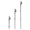 Kije trekkingowe Spokey Zodiac 105-135 cm trzysegmentowe SPK-944819 Czarny