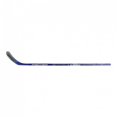 Kij drewniany Fischer W250 ABS Sr '23 H153123,59 070 Kij drewniany Fischer W250 ABS Sr '23 H153123,59 070