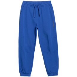 Spodnie 4F CAS Jr 4FJWSS25TTROM0965 36S 146 cm