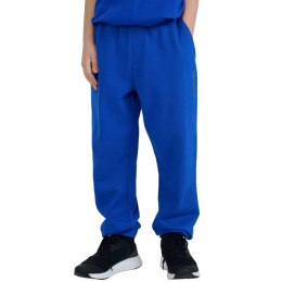 Spodnie 4F CAS Jr 4FJWSS25TTROM0965 36S 146 cm
