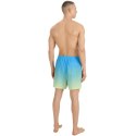 Szorty kąpielowe 4F M 4FWSS25UBDSM132 33S L