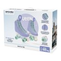 Wrotki regulowane Spokey Queenie SPK-944656 r. 39-42 39-42