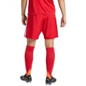 Spodenki adidas Tastigo 25 M JN7157 M
