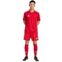 Spodenki adidas Tastigo 25 M JN7157 M