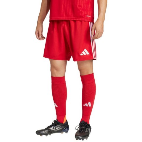 Spodenki adidas Tastigo 25 M JN7157 S Spodenki adidas Tastigo 25 M JN7157 S