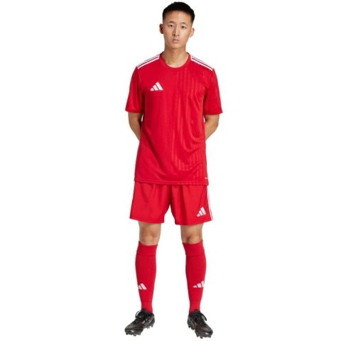 Spodenki adidas Tastigo 25 M JN7157 S Spodenki adidas Tastigo 25 M JN7157 S