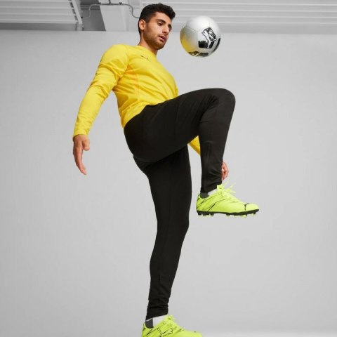 Spodnie Puma Team Goal Slim Training M 659037 03 L Spodnie Puma Team Goal Slim Training M 659037 03 L