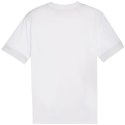 Koszulka Puma teamGoal Matchday Jersey M 705747 04 XL
