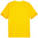 Koszulka Puma teamGoal Matchday Jersey M 705747 07 XL