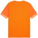 Koszulka Puma teamGoal Matchday Jersey M 705747 08 L