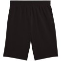 Spodenki Puma Ess 2 Color No. 1 Logo M 684715 01 XL