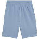 Spodenki Puma Ess 2 Color No. 1 Logo M 684715 34 L