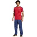 Koszulka adidas Arsenal Londyn DNA Tee M IT4104 M