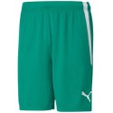 Spodenki Puma teamLiga M 704924 05 XL