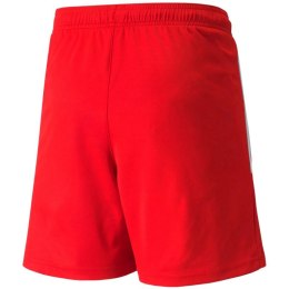 Spodenki Puma teamLIGA Jr 704931 01 128 cm