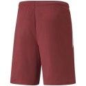 Spodenki Puma teamLIGA M 704924 09 L