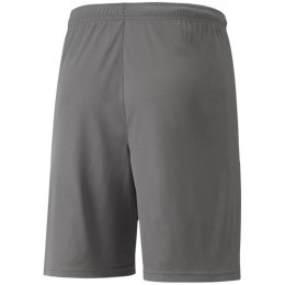 Spodenki Puma teamLIGA M 704924 13 L