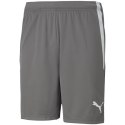 Spodenki Puma teamLIGA M 704924 13 M