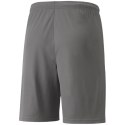 Spodenki Puma teamLIGA M 704924 13 M