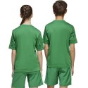 Koszulka adidas Team Icon 25 JSY Jr JJ1956 164 cm