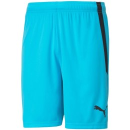 Spodenki Puma teamLIGA M 704924 40 L