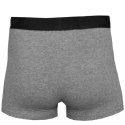 Bokserki 4F Men's Briefs M H4L22-BIM350-90M M