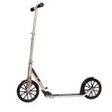 Hulajnoga Razor A6 13073013 (kolor czarny, kolor srebrny) N/A