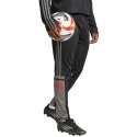 Spodnie adidas Squadra 25 Training M JD1625 XL