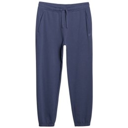 Spodnie 4F Cas M1139 M 4FWMM00TTROM1139 32S XXL
