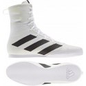 Buty bokserskie adidas Box Hog Plus białe 9.0 ( 43 1/3 )