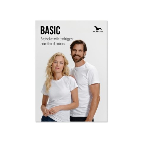 Plakat (angielski) BASIC Plakat (angielski) BASIC