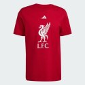 Koszulka adidas Liverpool LFC DNA JW7894 M (178cm)