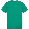 Koszulka Puma Team Goal Casuals Tee M 658615 05 S