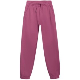 Spodnie 4F CAS F1249 Jr 4FJWAW25TTROF1249 50S 134 cm